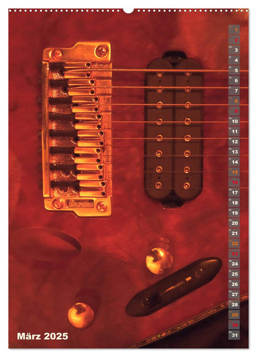 Elektro-Gitarren (CALVENDO Premium Wandkalender 2025)