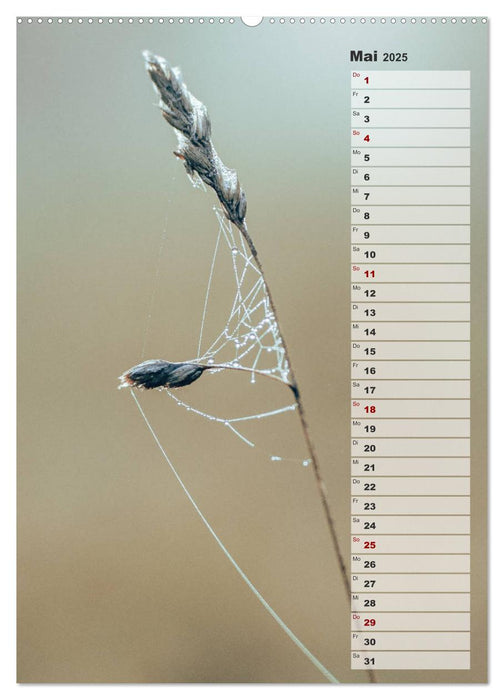 Kalender - Natur im Detail (CALVENDO Premium Wandkalender 2025)