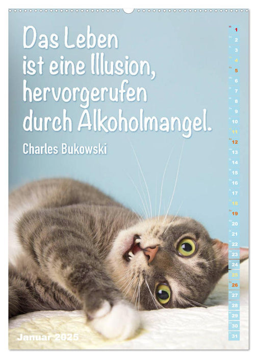 Der literarische Katerkalender (CALVENDO Premium Wandkalender 2025)