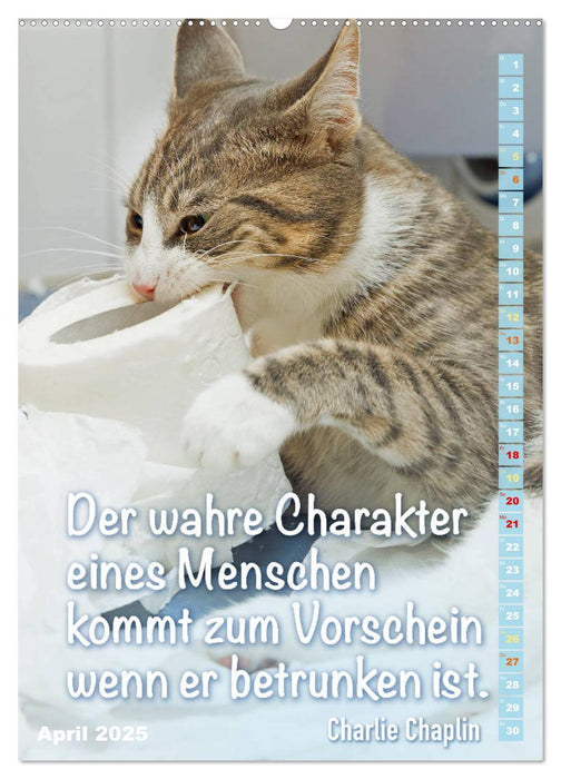 Der literarische Katerkalender (CALVENDO Premium Wandkalender 2025)