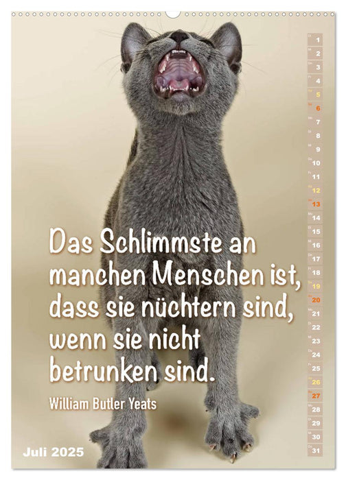 Der literarische Katerkalender (CALVENDO Premium Wandkalender 2025)