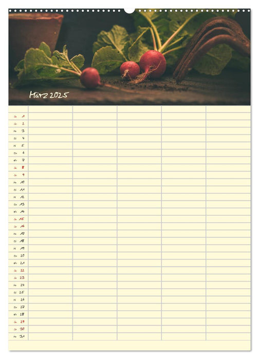 Gemüse aus dem Bauerngarten (CALVENDO Premium Wandkalender 2025)