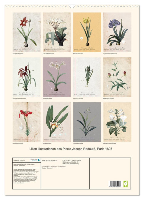 Lilien Illustrationen des Pierre-Joseph Redouté, Paris 1805 (CALVENDO Wandkalender 2025)