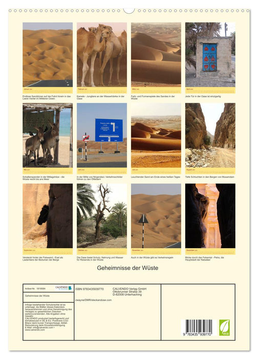 Geheimnisse der Wüste (CALVENDO Premium Wandkalender 2025)