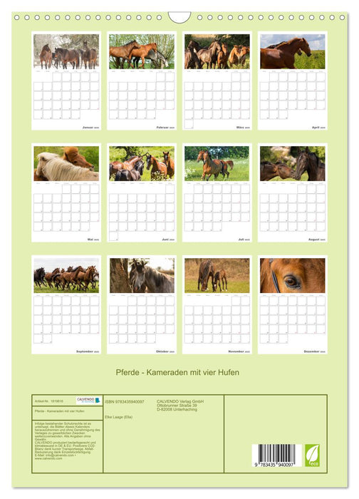 Pferde - Kameraden mit vier Hufen (CALVENDO Wandkalender 2025)