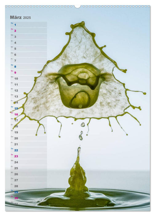 Farbenfreudig (CALVENDO Premium Wandkalender 2025)