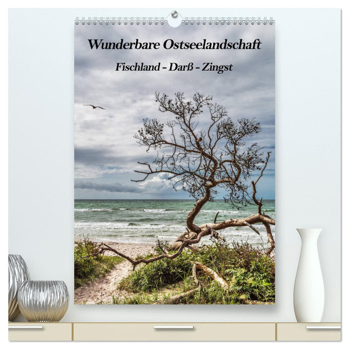 Wunderbare Ostseelandschaft Fischland-Darß-Zingst (CALVENDO Premium Wandkalender 2025)