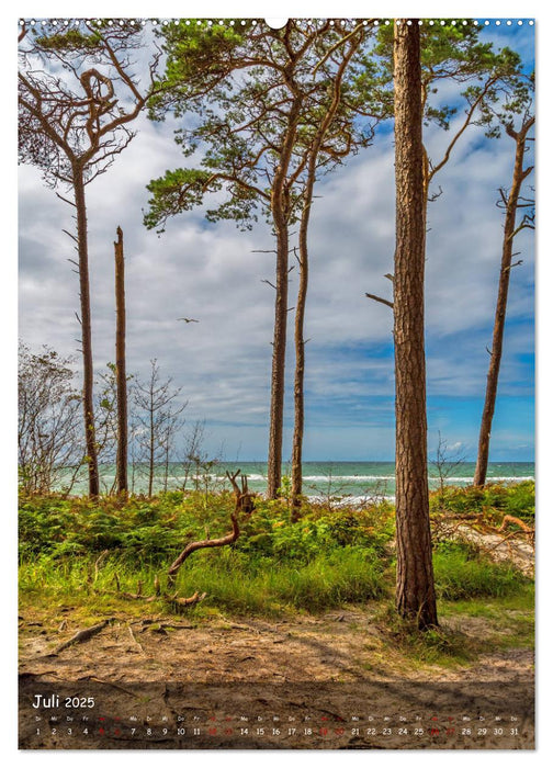 Wunderbare Ostseelandschaft Fischland-Darß-Zingst (CALVENDO Premium Wandkalender 2025)