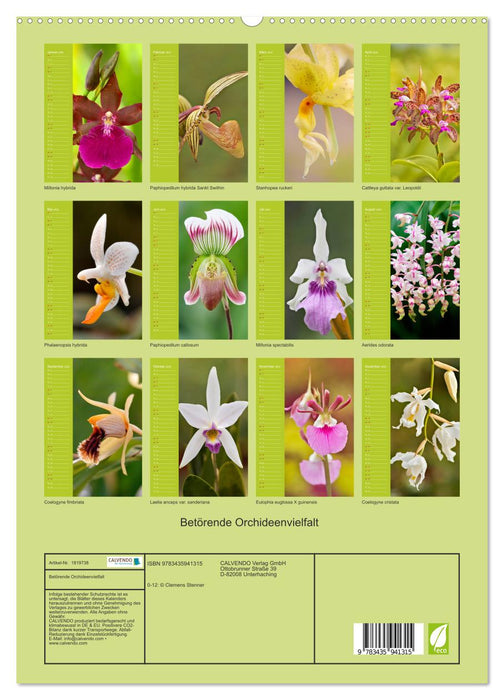 Betörende Orchideenvielfalt (CALVENDO Premium Wandkalender 2025)