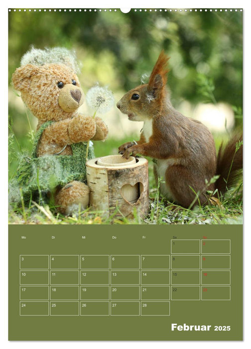 Eichhörnchen - Abenteuer mit Freund Teddy (CALVENDO Premium Wandkalender 2025)