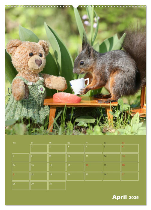 Eichhörnchen - Abenteuer mit Freund Teddy (CALVENDO Premium Wandkalender 2025)