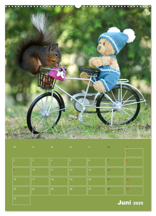 Eichhörnchen - Abenteuer mit Freund Teddy (CALVENDO Premium Wandkalender 2025)