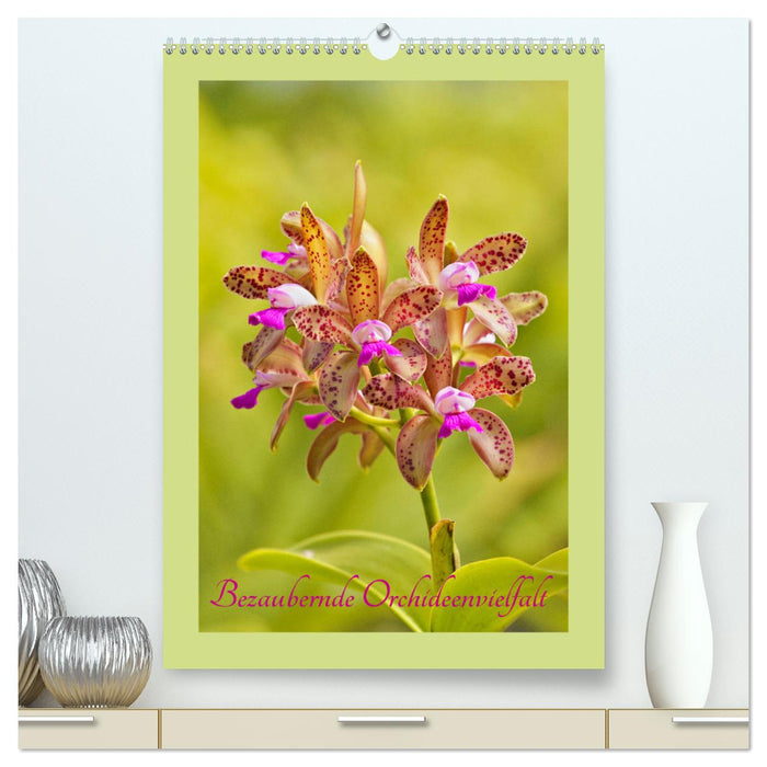 Bezaubernde Orchideenvielfalt (CALVENDO Premium Wandkalender 2025)