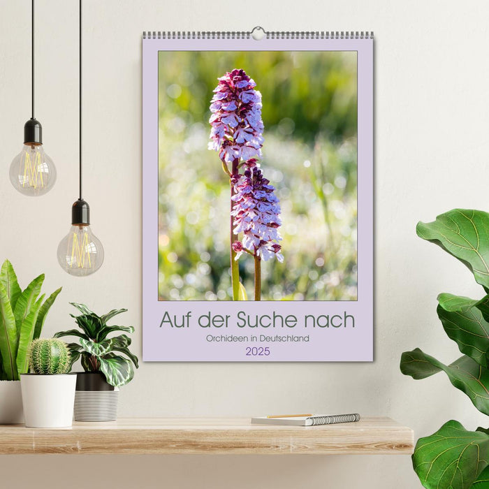 Auf der Suche nach Orchideen in Deutschland (CALVENDO Wandkalender 2025)