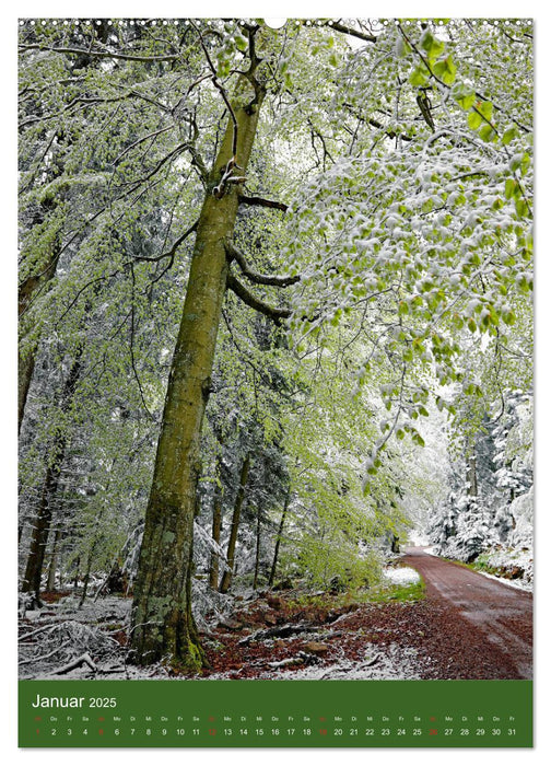 Schwarzwald Nord (CALVENDO Premium Wandkalender 2025)