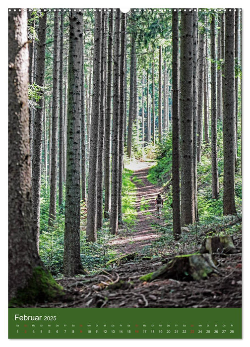 Schwarzwald Nord (CALVENDO Premium Wandkalender 2025)