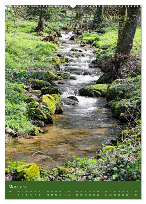 Schwarzwald Nord (CALVENDO Premium Wandkalender 2025)