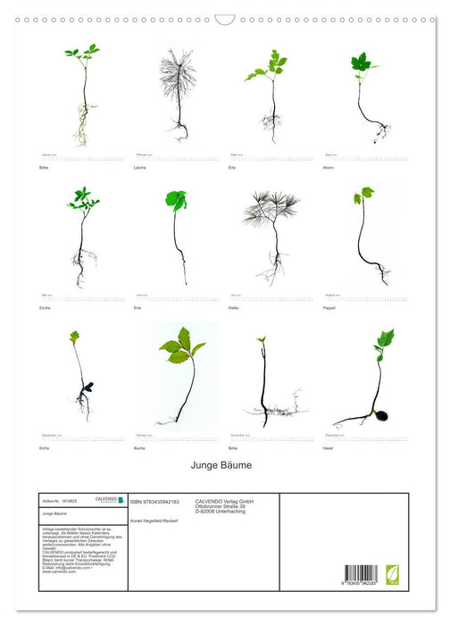 Junge Bäume (CALVENDO Wandkalender 2025)