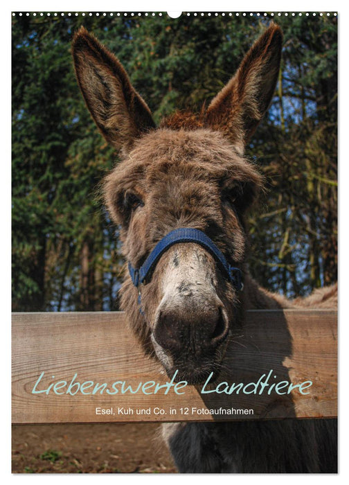 Liebenswerte Landtiere (CALVENDO Wandkalender 2025)