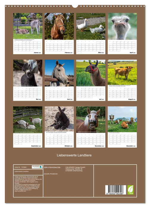 Liebenswerte Landtiere (CALVENDO Wandkalender 2025)