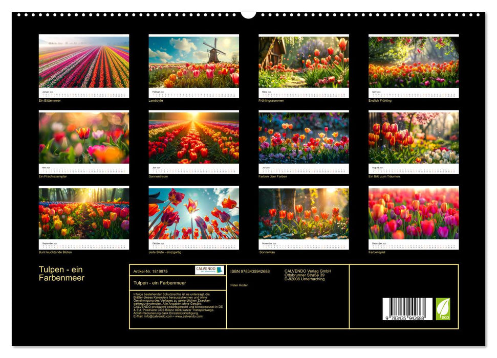 Tulpen - ein Farbenmeer (CALVENDO Premium Wandkalender 2025)