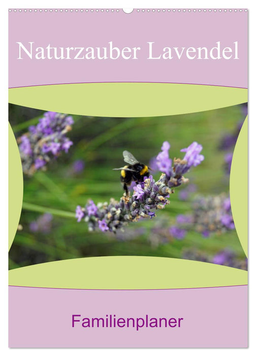 Naturzauber Lavendel - Familienplaner (CALVENDO Wandkalender 2025)