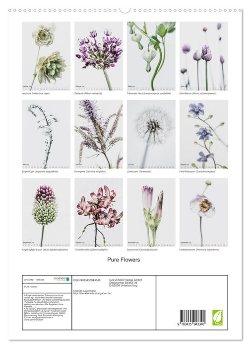 Pure Flowers (CALVENDO Premium Wandkalender 2025)