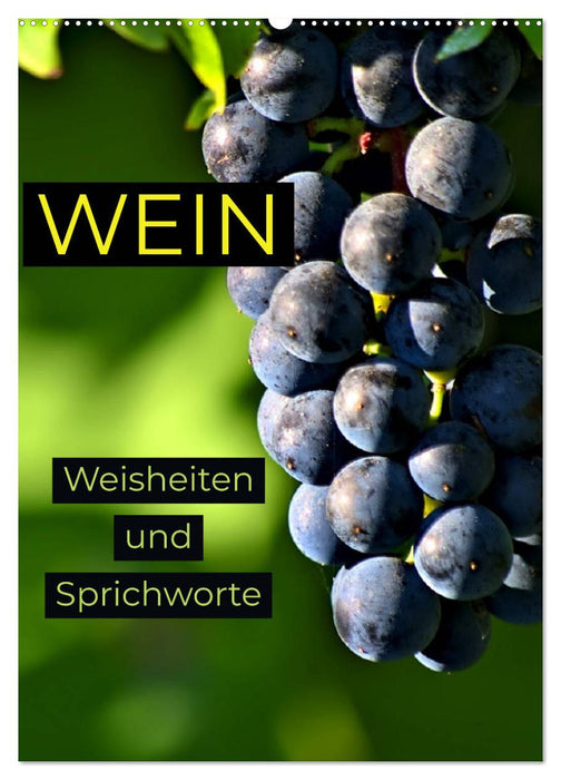 WEIN Weisheiten und Sprichworte (CALVENDO Wandkalender 2025)