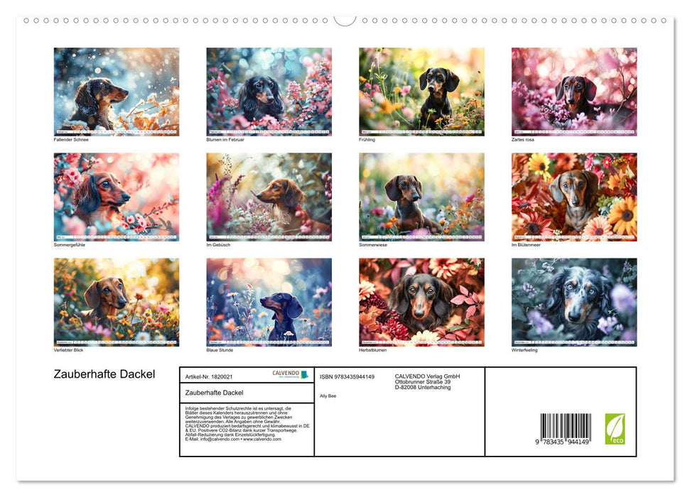 Zauberhafte Dackel (CALVENDO Premium Wandkalender 2025)