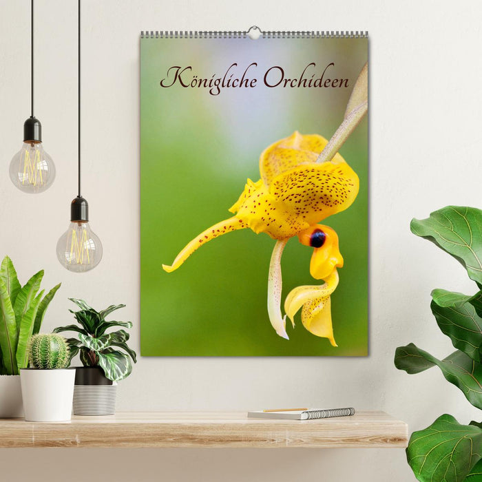 Königliche Orchideen (CALVENDO Wandkalender 2025)