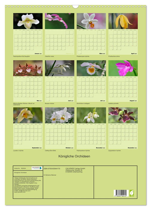 Königliche Orchideen (CALVENDO Wandkalender 2025)