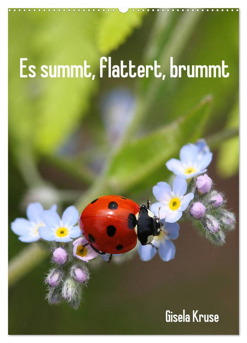 Es summt, flattert, brummt (CALVENDO Wandkalender 2025)