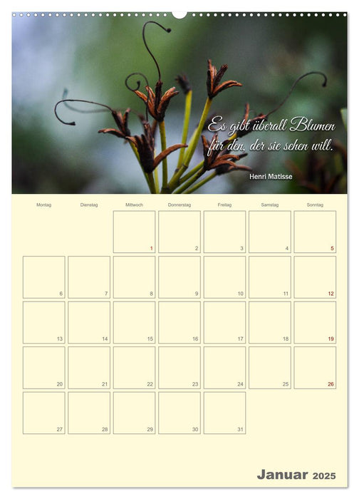 Gartenliebe (CALVENDO Wandkalender 2025)