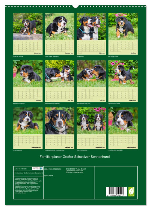 Familienplaner Großer Schweizer Sennenhund (CALVENDO Premium Wandkalender 2025)