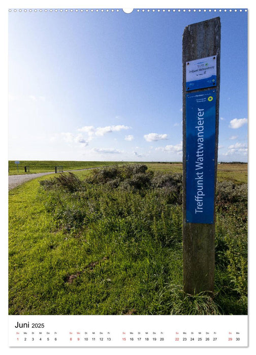 Dein Langeoog - Der besondere Blick (CALVENDO Wandkalender 2025)