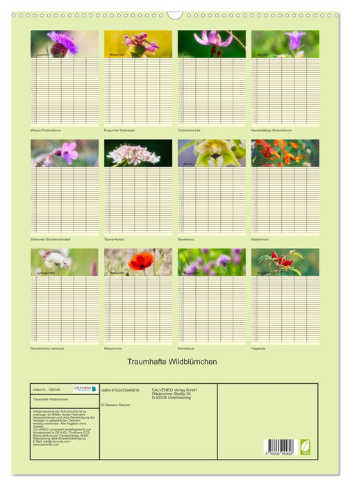 Traumhafte Wildblümchen (CALVENDO Wandkalender 2025)