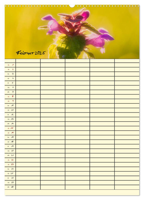 Traumhafte Wildblümchen (CALVENDO Wandkalender 2025)