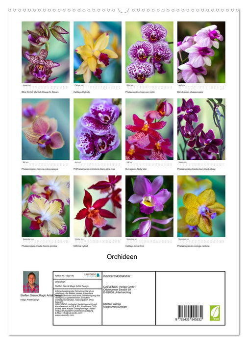 Orchideen (CALVENDO Premium Wandkalender 2025)