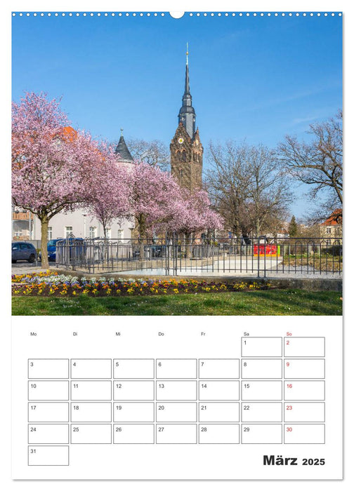 Coswig - Im Wandel der Jahreszeiten (CALVENDO Wandkalender 2025)