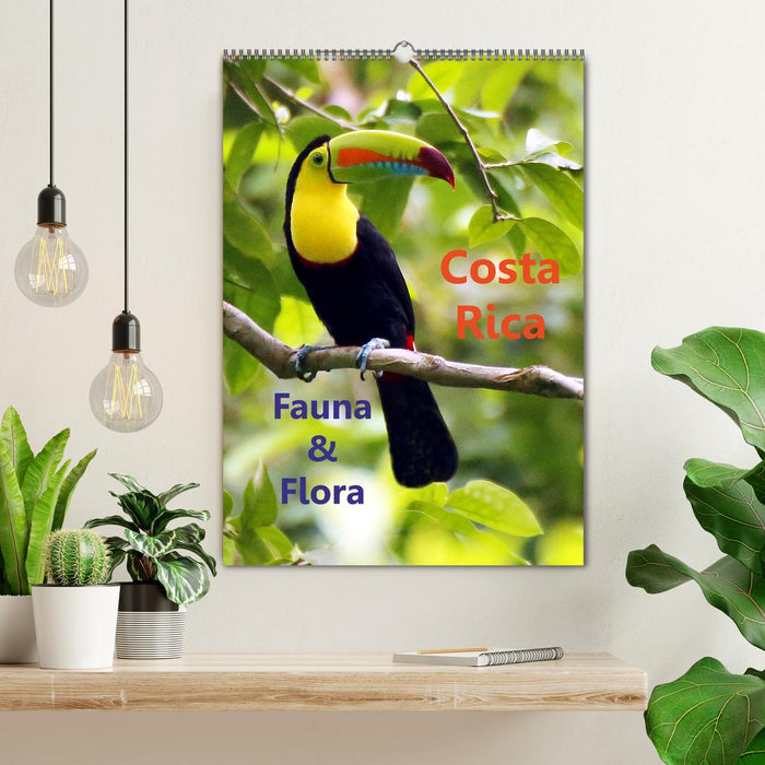 Costa Rica - Fauna & Flora (CALVENDO Wandkalender 2025)