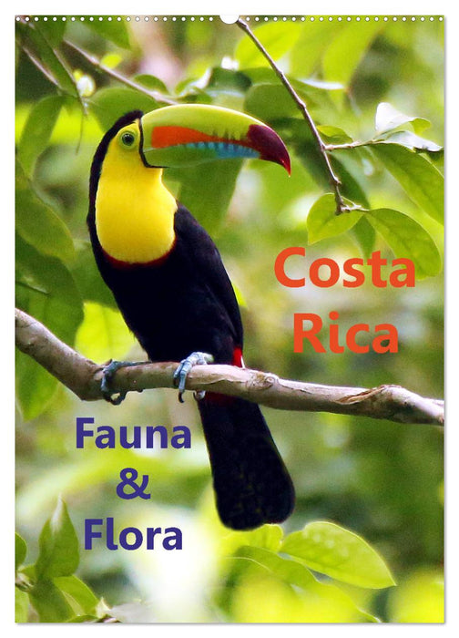 Costa Rica - Fauna & Flora (CALVENDO Wandkalender 2025)