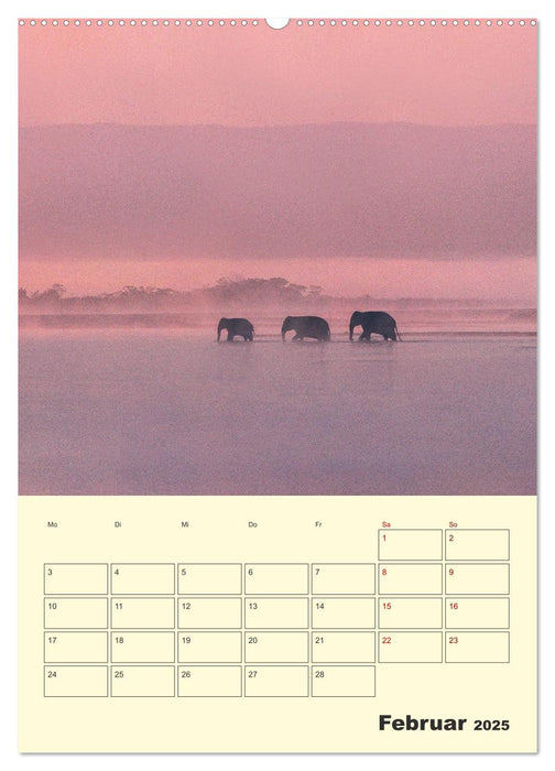 ELEFANTEN - Asiens graue Riesen (CALVENDO Wandkalender 2025)