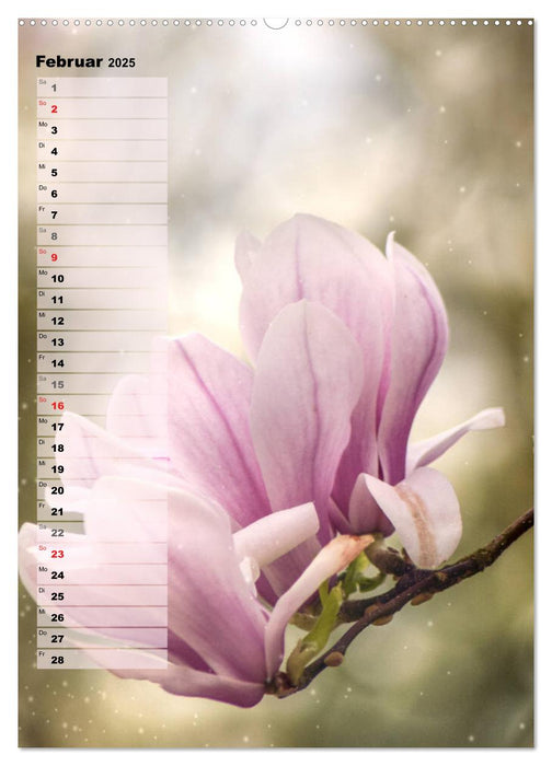 Bunt durchs Jahr (CALVENDO Premium Wandkalender 2025)