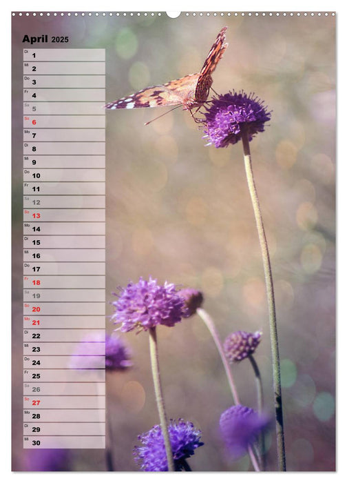 Bunt durchs Jahr (CALVENDO Premium Wandkalender 2025)