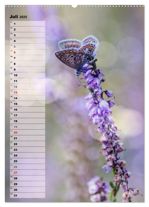 Bunt durchs Jahr (CALVENDO Premium Wandkalender 2025)