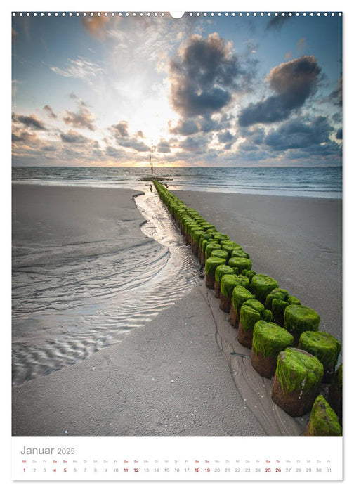 Amrum - Das Gesicht der Nordsee (CALVENDO Premium Wandkalender 2025)