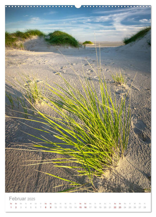 Amrum - Das Gesicht der Nordsee (CALVENDO Premium Wandkalender 2025)