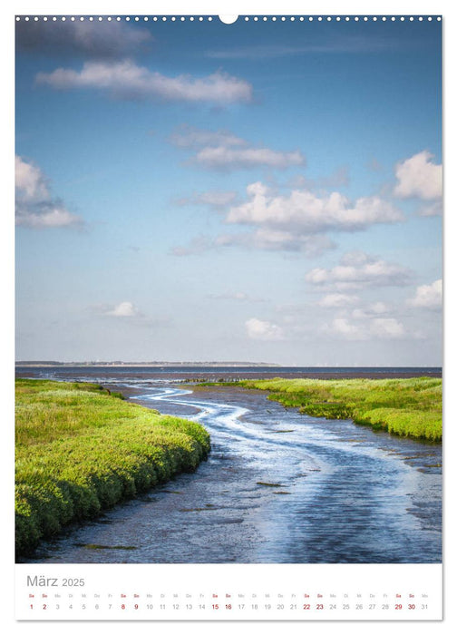 Amrum - Das Gesicht der Nordsee (CALVENDO Premium Wandkalender 2025)