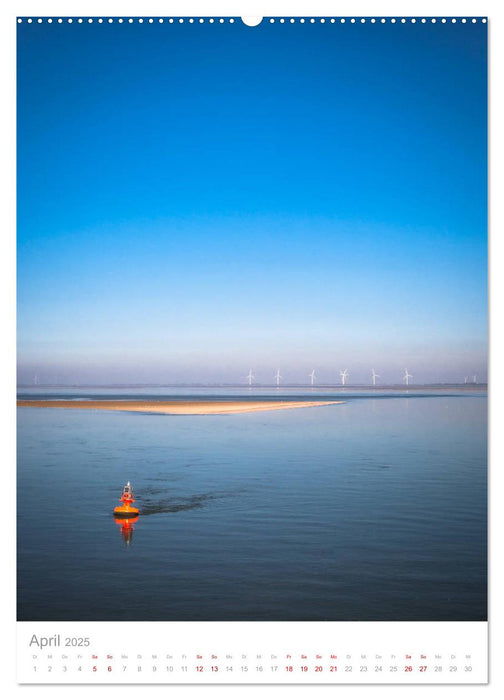 Amrum - Das Gesicht der Nordsee (CALVENDO Premium Wandkalender 2025)