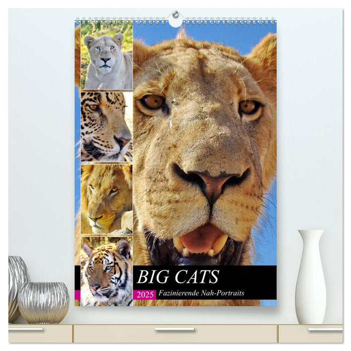 BIG CATS Fazinierende Nah-Portraits (CALVENDO Premium Wandkalender 2025)